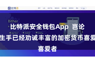 比特派安全钱包App  岂论是生手已经劝诫丰富的加密货币喜爱者